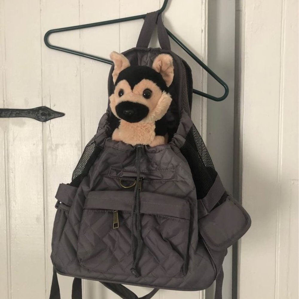 Cozy pet carrier/backpack
